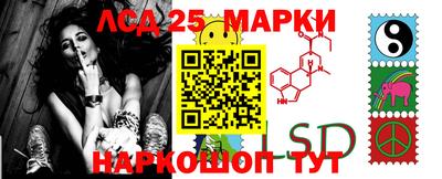 молекула духа Краснодар