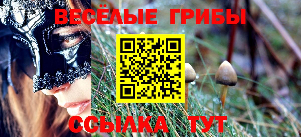 Ялта  Галлюциногенные грибы Psilocybine cubensis  Вход с VPN  Галлюциногенные грибы GOLDEN TEACHER 