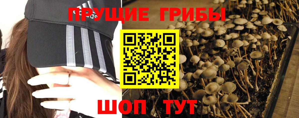 Галлюциногенные грибы GOLDEN TEACHER Ялта